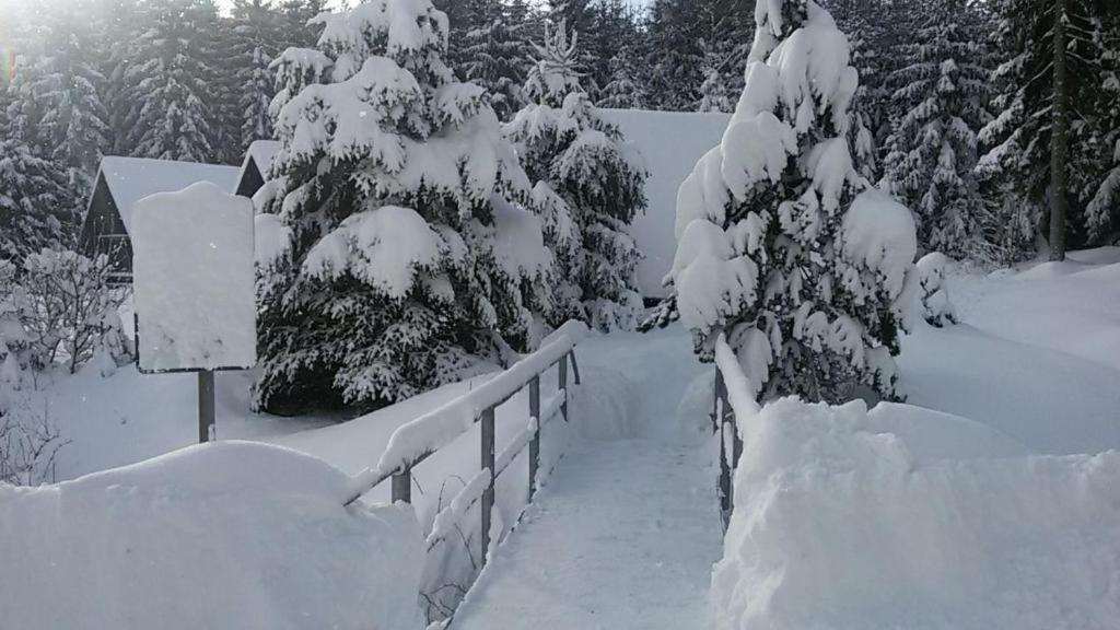 Hotel Maredis Rero Kořenov Dış mekan fotoğraf