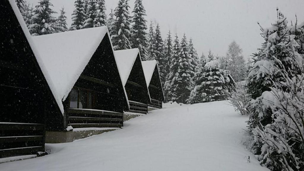 Hotel Maredis Rero Kořenov Dış mekan fotoğraf